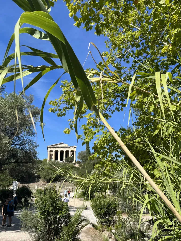 Distant view of the Temple of Hephaestus through green foliage in the Ancient Agora of Athens.