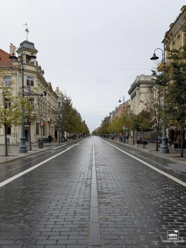 Gediminas Avenue, a central street in Vilnius lined with historic buildings and shops, on a cloudy day.