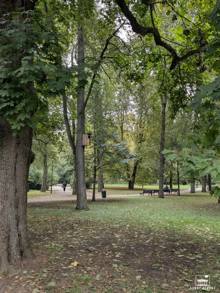 A serene corner of Bernardine Garden, with leafy trees, paths, and a bench under the shade.