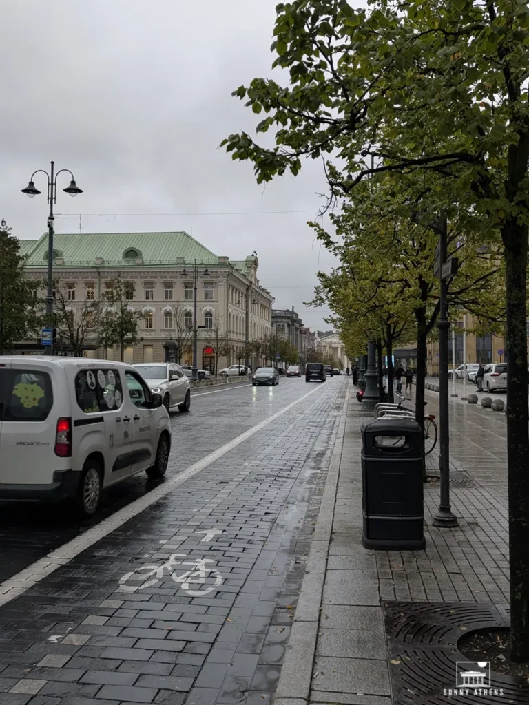 A wet cobblestone part of Gediminas Avenue, with parked cars, trees, and historic buildings on both sides.