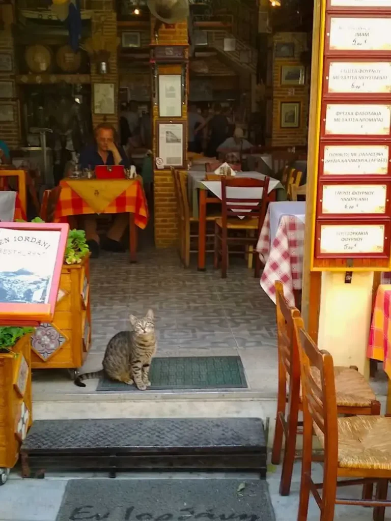 View of the entrance and the interior space of En Iordani restaurant in Psiri, with a cute cat in the foreground and a couple of patrons seated in the background.
