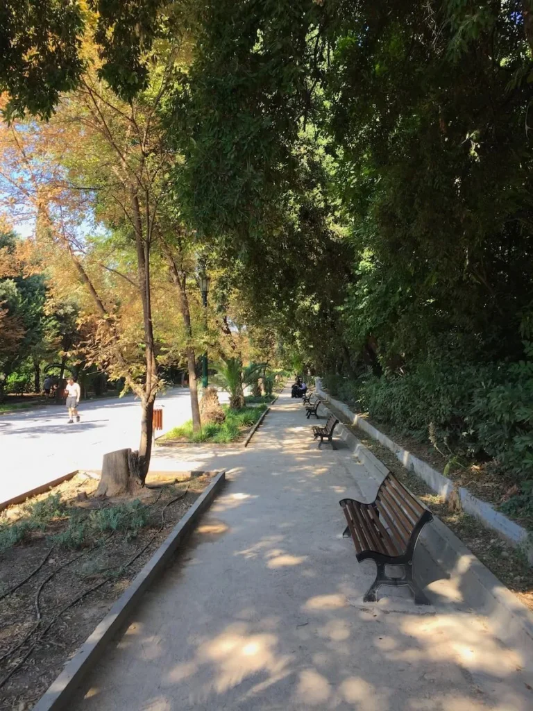 Kypseli Athens Travel Guide: View of benches in the shade on the side of a central alley in Pedion Areos Park in Kypseli with a man walking in the sun