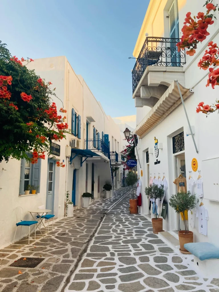 A picturesque, stone-paved alley in Paros with whitewashed buildings, blue shutters, and blooming flowers.