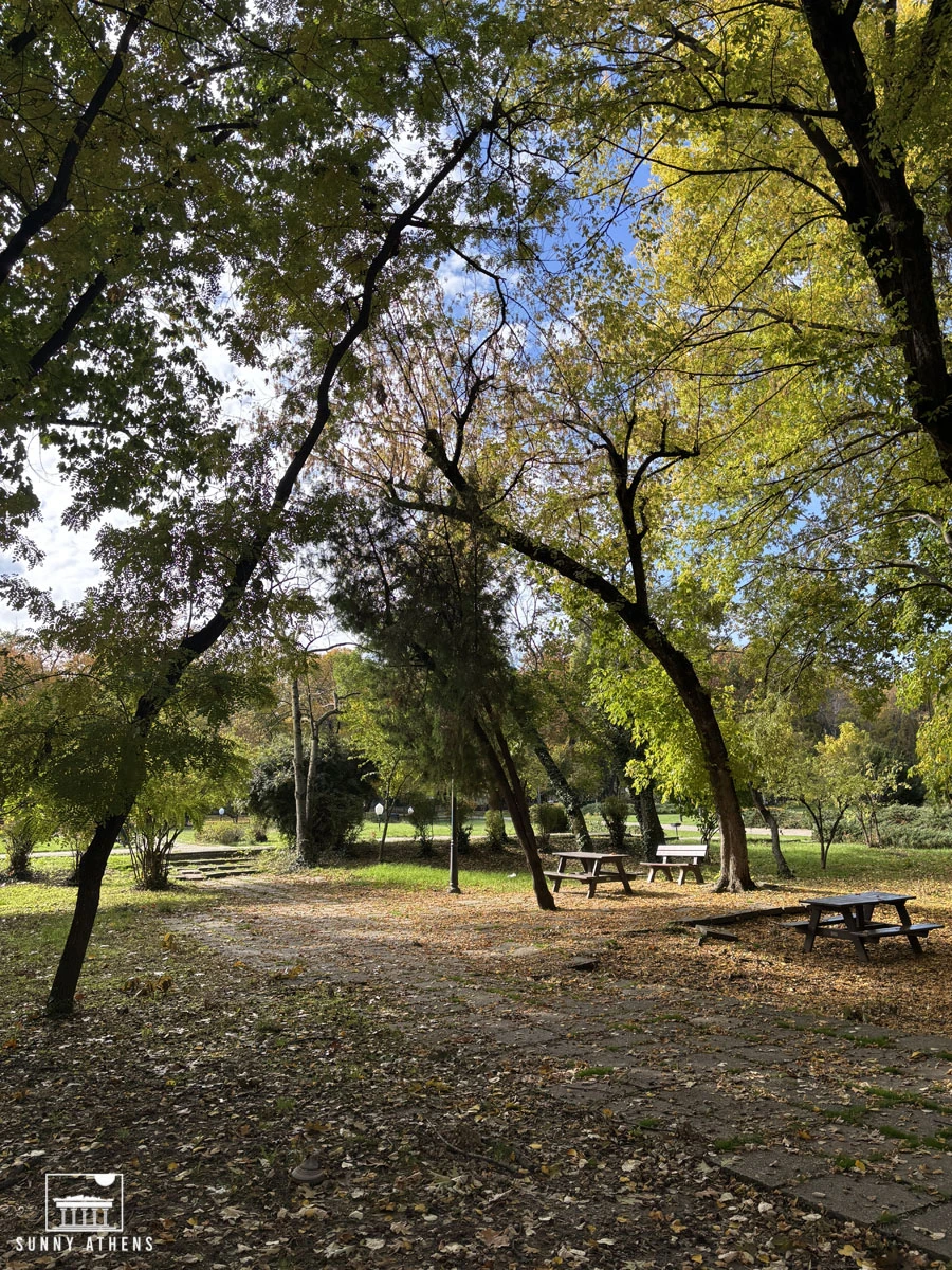 Autumnal view of King Mihai I Park, showing a shaded path covered in fallen leaves and picnic tables.