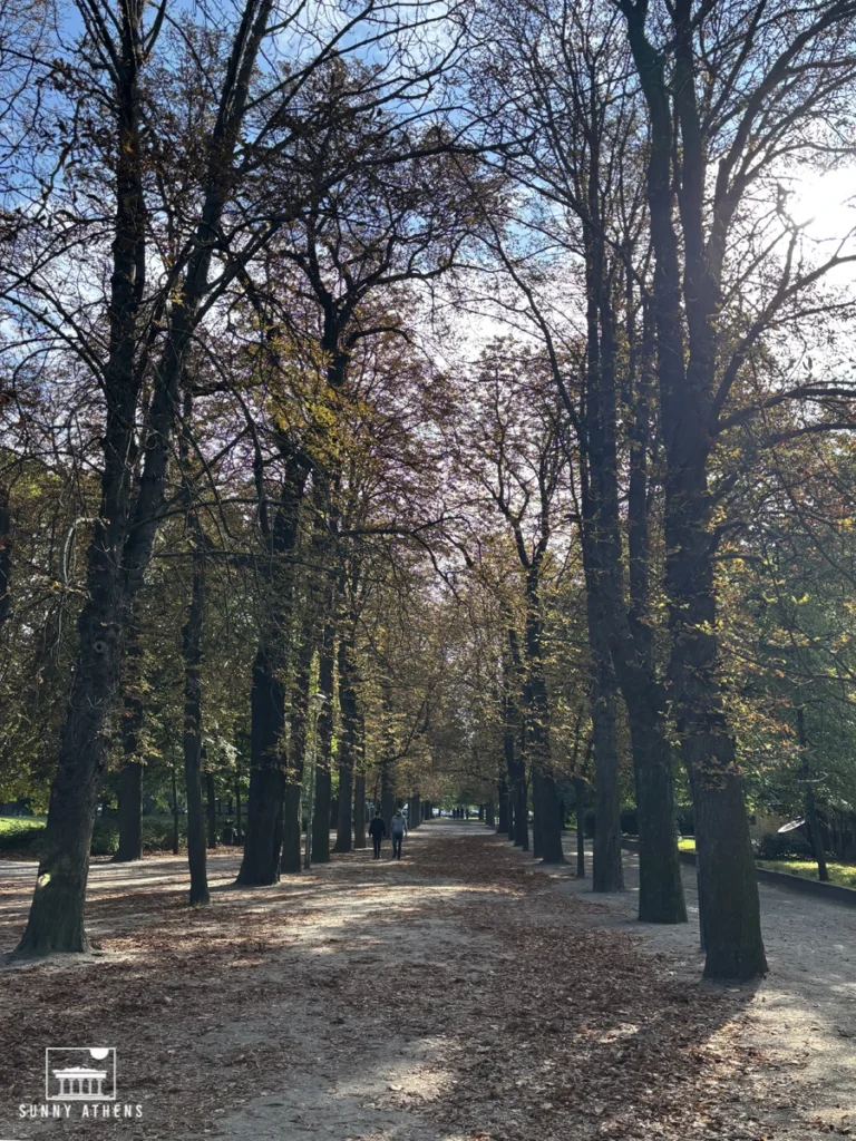 Tree-lined path with sunlight filtering through autumn leaves in Copernicus Park.
