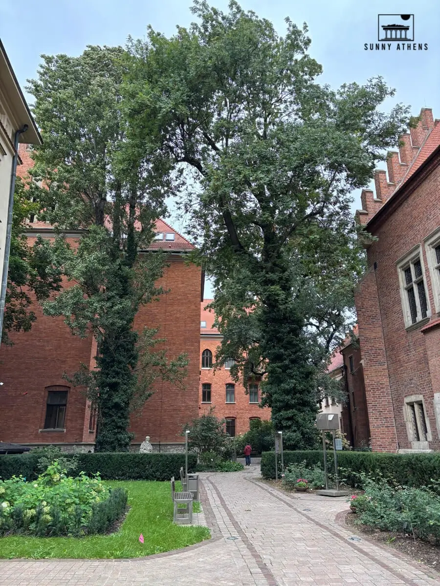 Krakow in 3 days: Red brick buildings and lush trees in the quiet courtyard of Collegium Maius in Krakow.