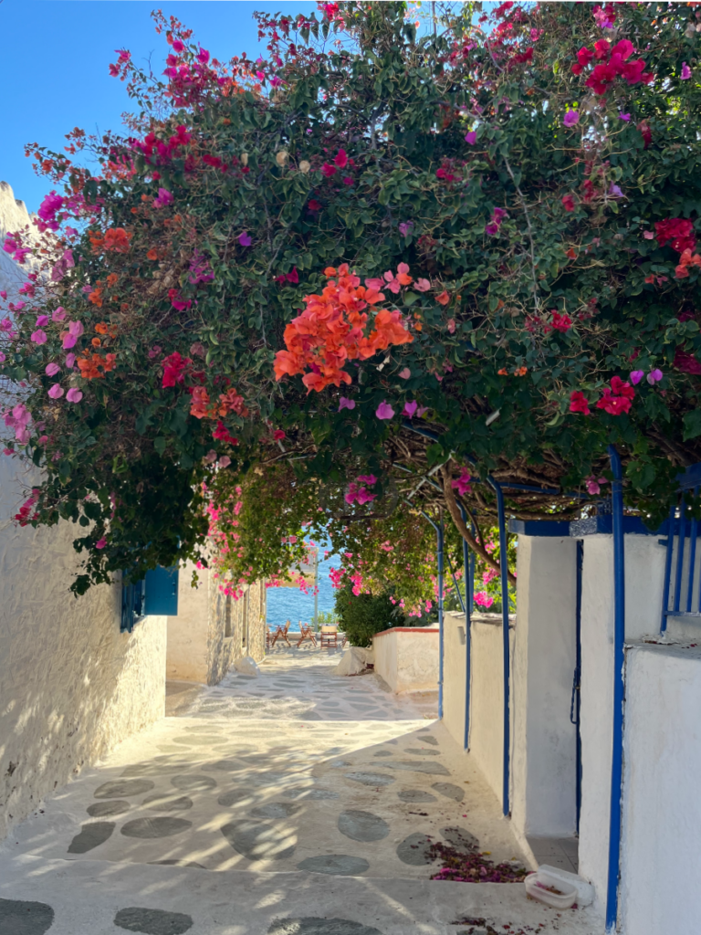 alley from a greek island filled with flowers