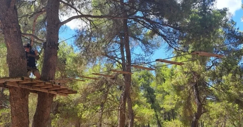 Forest adventure park