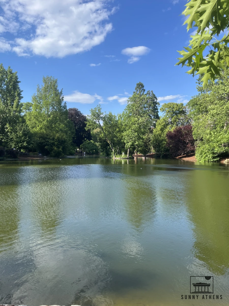 A peaceful pond surrounded by green willow trees in Vienna's Stadtpark