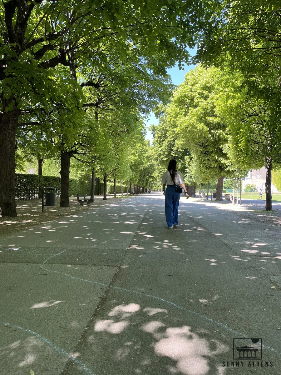 Walking down a lush green tree-lined avenue in the historic Augarten park in Vienna