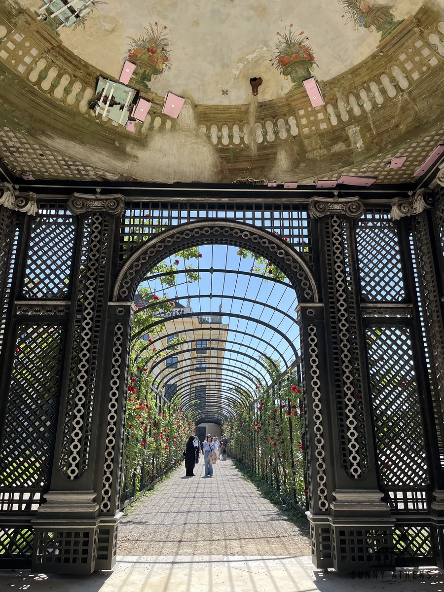 Walking through a pergola covered in roses in the Privy Garden at Schonbrunn Palace