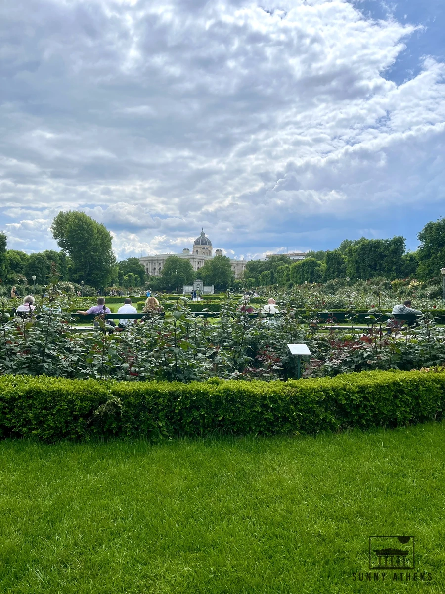 Rose gardens and green hedges in Volksgarten on a sunny day in Vienna