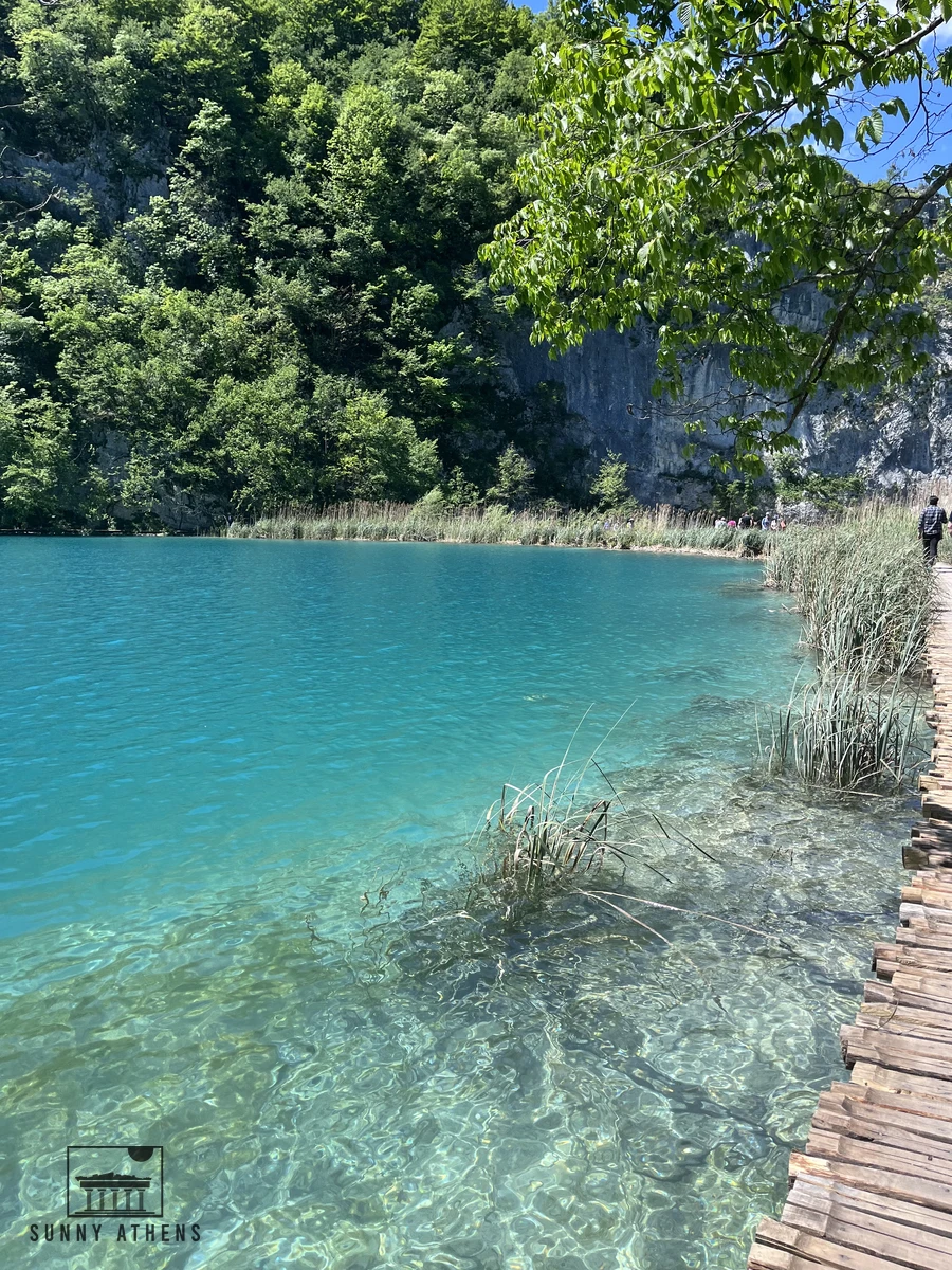 Wooden boardwalk trail curving across the clear turquoise water and reeds in Plitvice Lakes