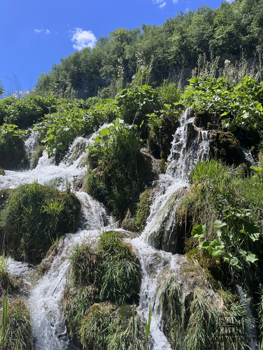 Cascading waterfall flowing over moss-covered limestone and green vegetation