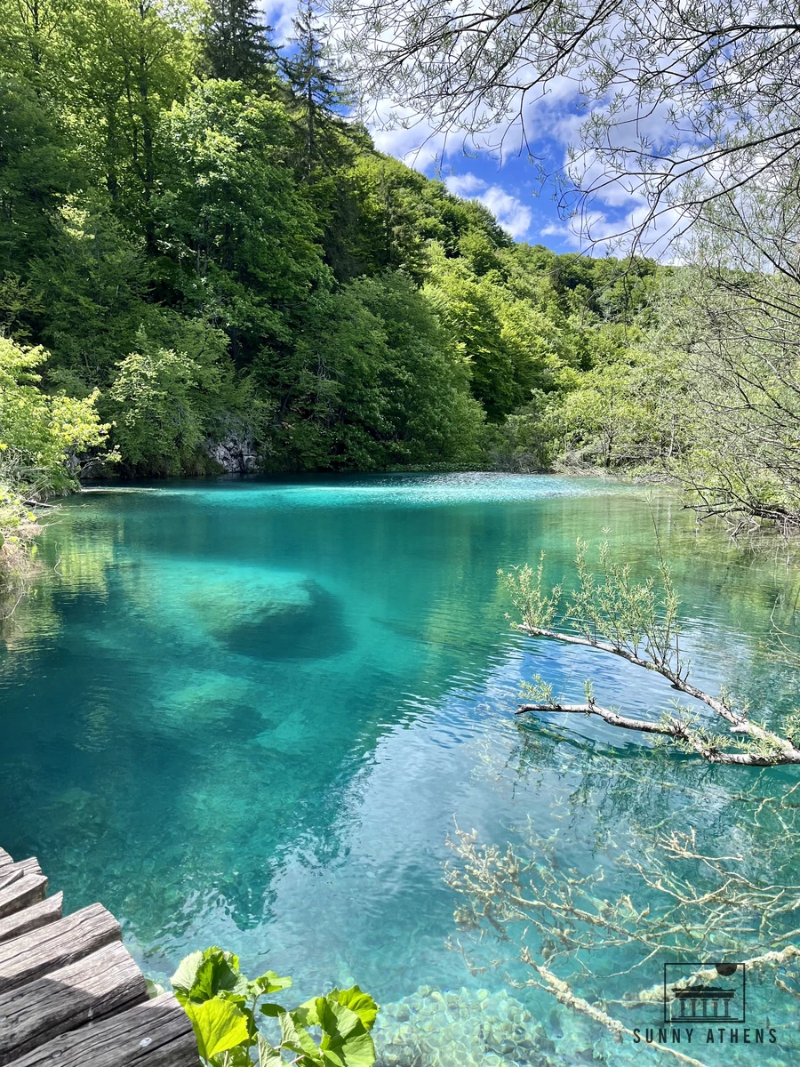 Clear emerald water and submerged tree branches in the Upper Lakes of Plitvice
