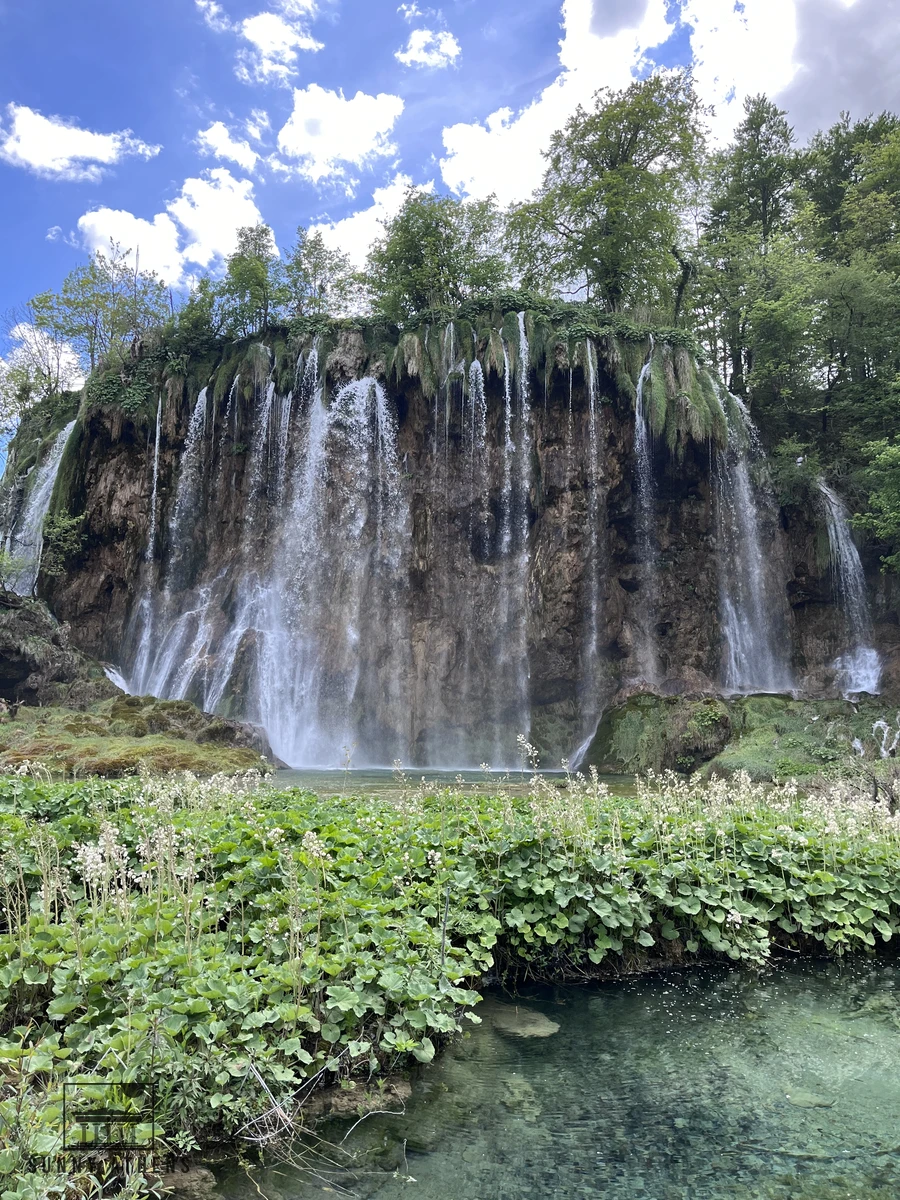 Wide wall of waterfalls pouring into a clear pool surrounded by green trees